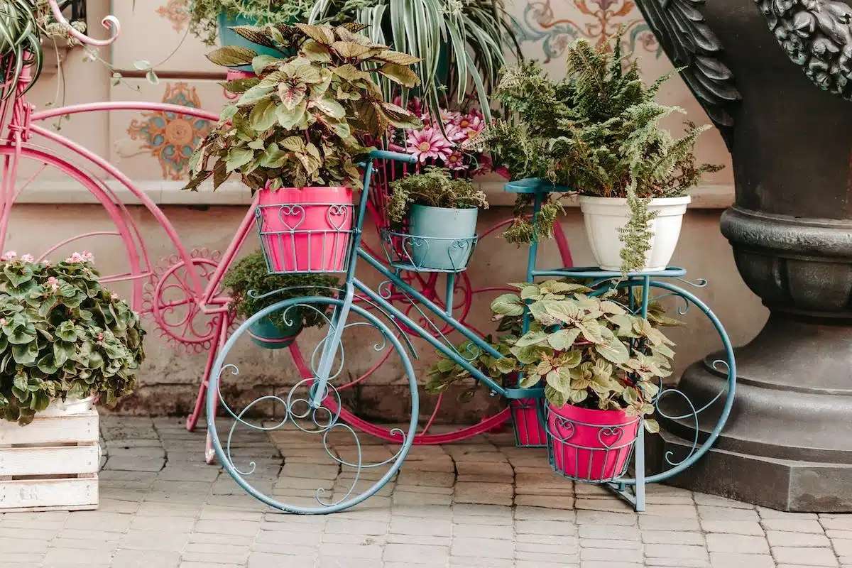 paris  décoration