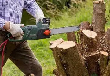 Quel produit pour faire mourir une souche