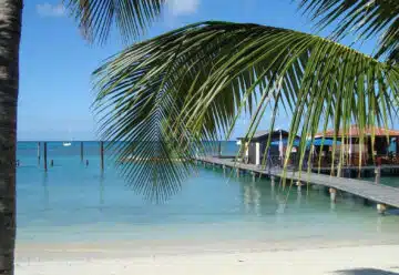 Découvrez les merveilles des Caraïbes lors d'une croisière inoubliable
