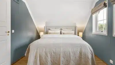 Désinsectisation, des experts anti-punaises de lit vous viennent en aide !
